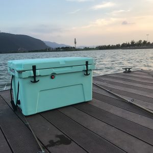 Cooler Box 20L